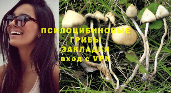 apvp Инсар