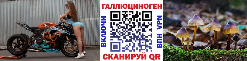 Галлюциногенные грибы Psilocybine cubensis  МЕГА   Волосово 